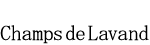 ロゴ＿シャン.png